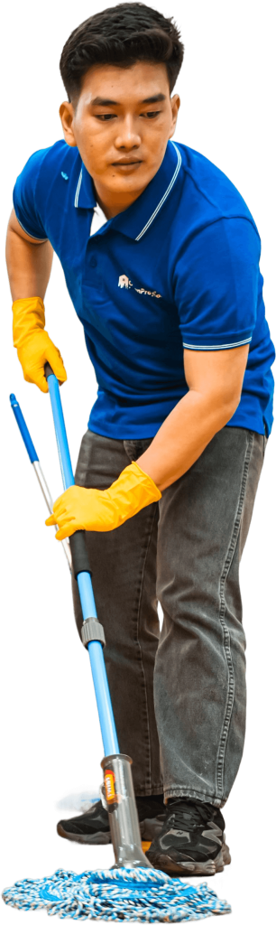 Professional Cleaner